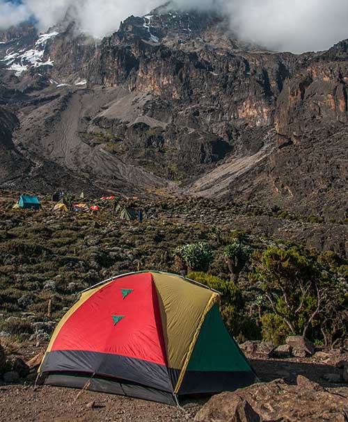 29483602 – tents camped in the shadow of kilimanjaro on the machame route